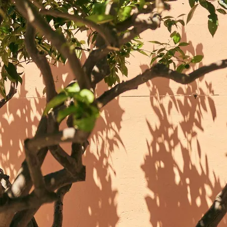 Casa Lucia